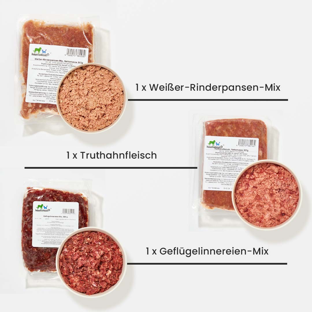 Paket Hund Ausgewachsen 9 kg mit verschiedenen Fleischsorten: Rinderpansen, Rindermischung, Geflügel und Truthahn, Tiefkühlware.