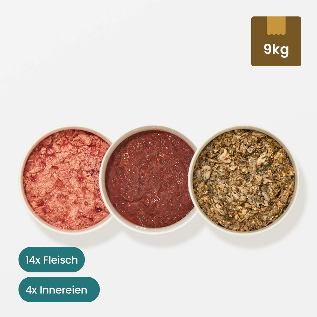 Paket Hund Aktiv, Tiefkühlware, enthält 9 kg Fleisch- und Innereien-Mix für Hunde, inklusive Rindermischfleisch, Rindermuskelfleisch, Weißer-Rinderpansen-Mix und Truthahnfleisch.