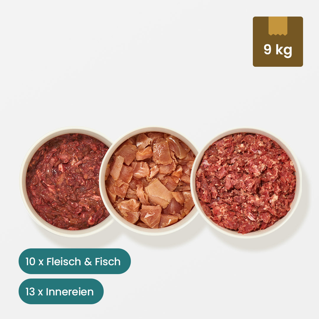 Senior Katzenfutter Paket 9 kg mit Fleisch, Fisch und Innereien für Katzen