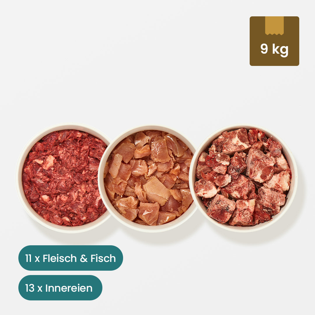 Paket Katze Übergewicht 9 kg mit Fleisch, Fisch und Innereien in Portionen.
