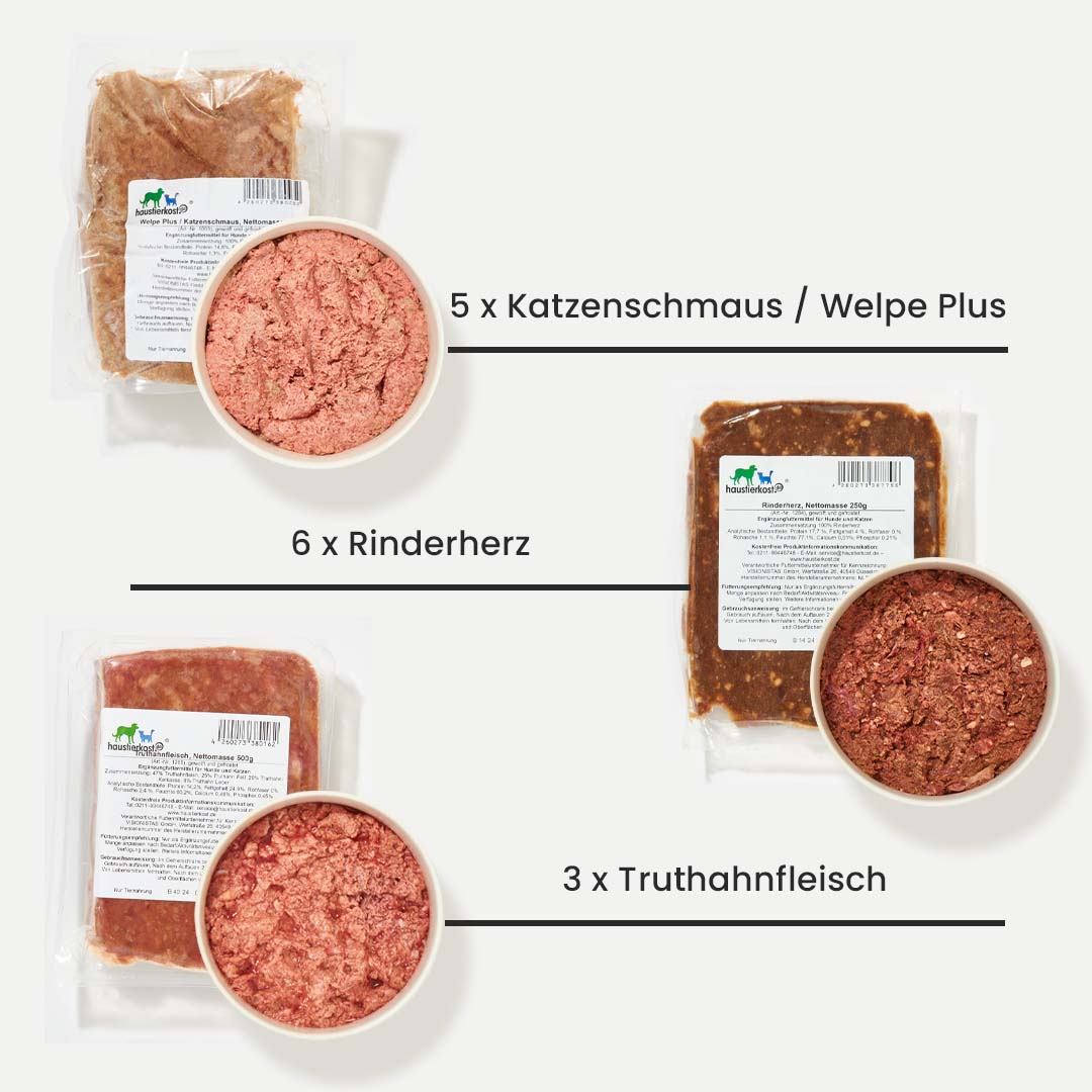 Paket mit 9 kg Katzennahrung, bestehend aus 5 x Katzenschmaus/Welpe Plus, 6 x Rinderherz und 3 x Truthahnfleisch in Portionsverpackungen.