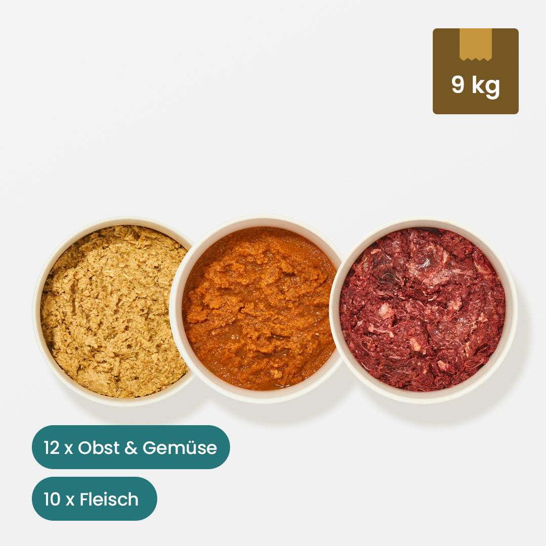 Purinarmes Hundefutter Paket 9 kg mit Obst, Gemüse und Fleischmix für Hunde bei Leishmaniose und speziellen Stoffwechselbedürfnissen