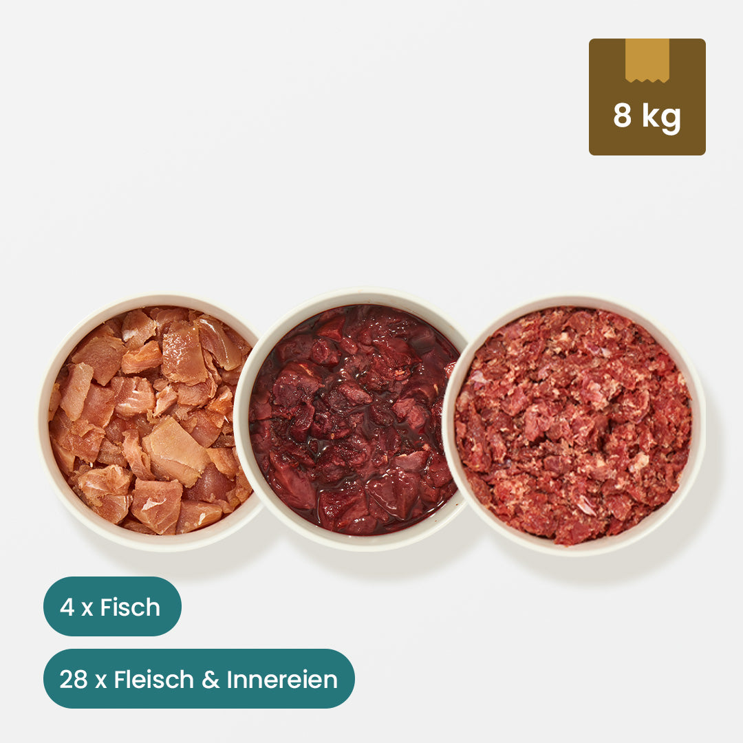 Probierpaket für Katzen mit frischem Fisch, Fleisch und Innereien, 8 kg Gesamtinhalt, verschiedene BARF-Sorten und Rinderprodukte.