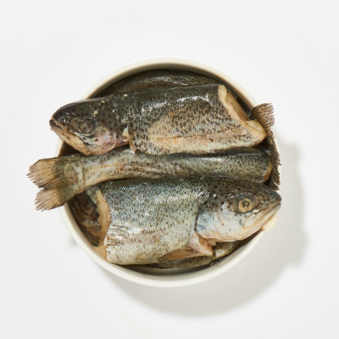 Forellen am Stück in einer Schüssel, 1 kg, reich an Omega-3 und Omega-6 Fettsäuren, geeignet für Katzen und Hunde.
