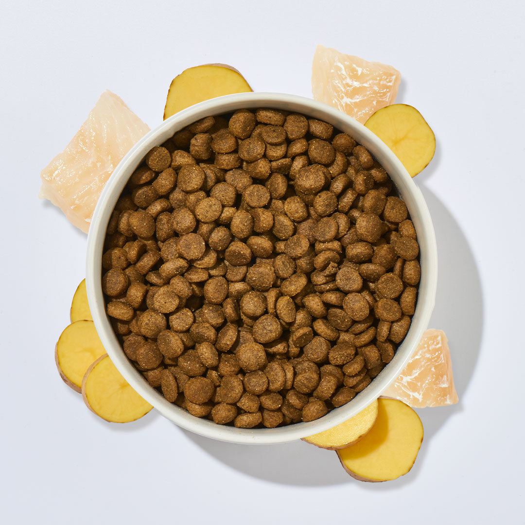 Seefisch und Kartoffel Hundefutter für empfindliche und ältere Hunde, 1 kg, ohne künstliche Zusatzstoffe, reich an Omega-Fettsäuren und Vitaminen.