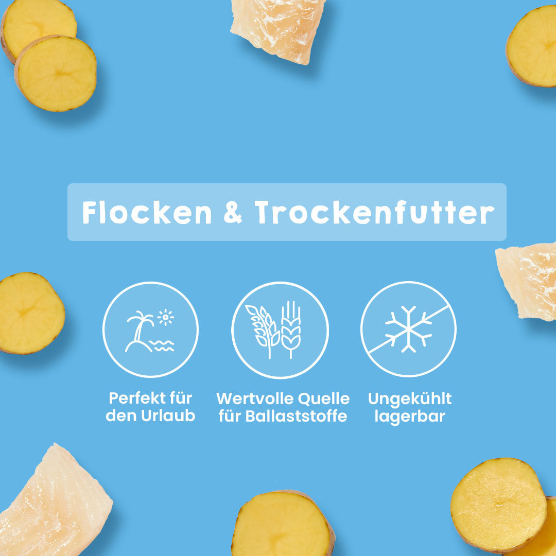 Seefisch und Kartoffel Hundefutter für empfindliche und ältere Hunde mit Omega-Fettsäuren und Vitaminen, getrocknete Stücke und Kartoffelscheiben vor blauem Hintergrund