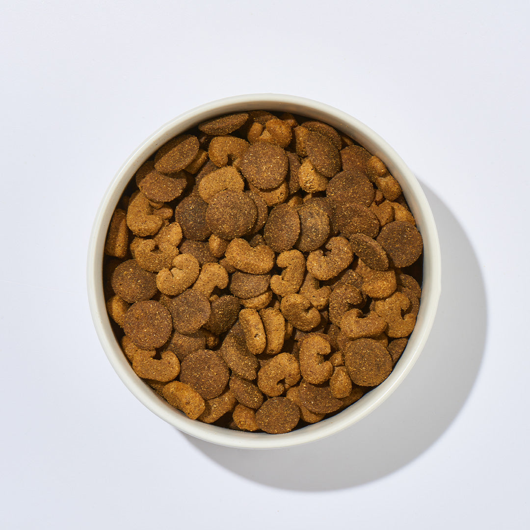 Hundefutter Strauß & Hirse mit Straußenfleisch und Omega-Fettsäuren für gesunde Haut und Fell, 1 kg, ohne künstliche Zusatzstoffe
