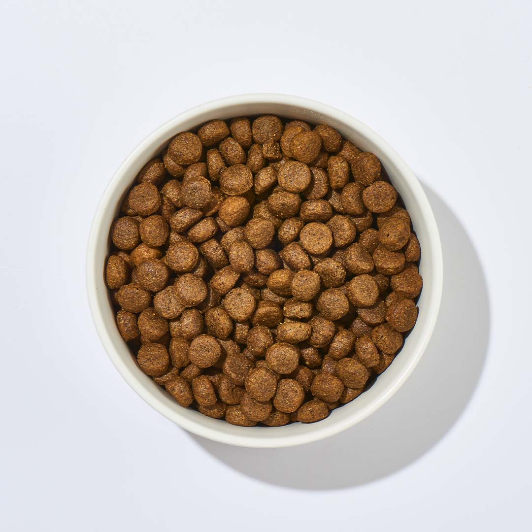 Hundefutter Pferd mit Süßkartoffel 1 kg Getreidefrei ohne künstliche Zusatzstoffe