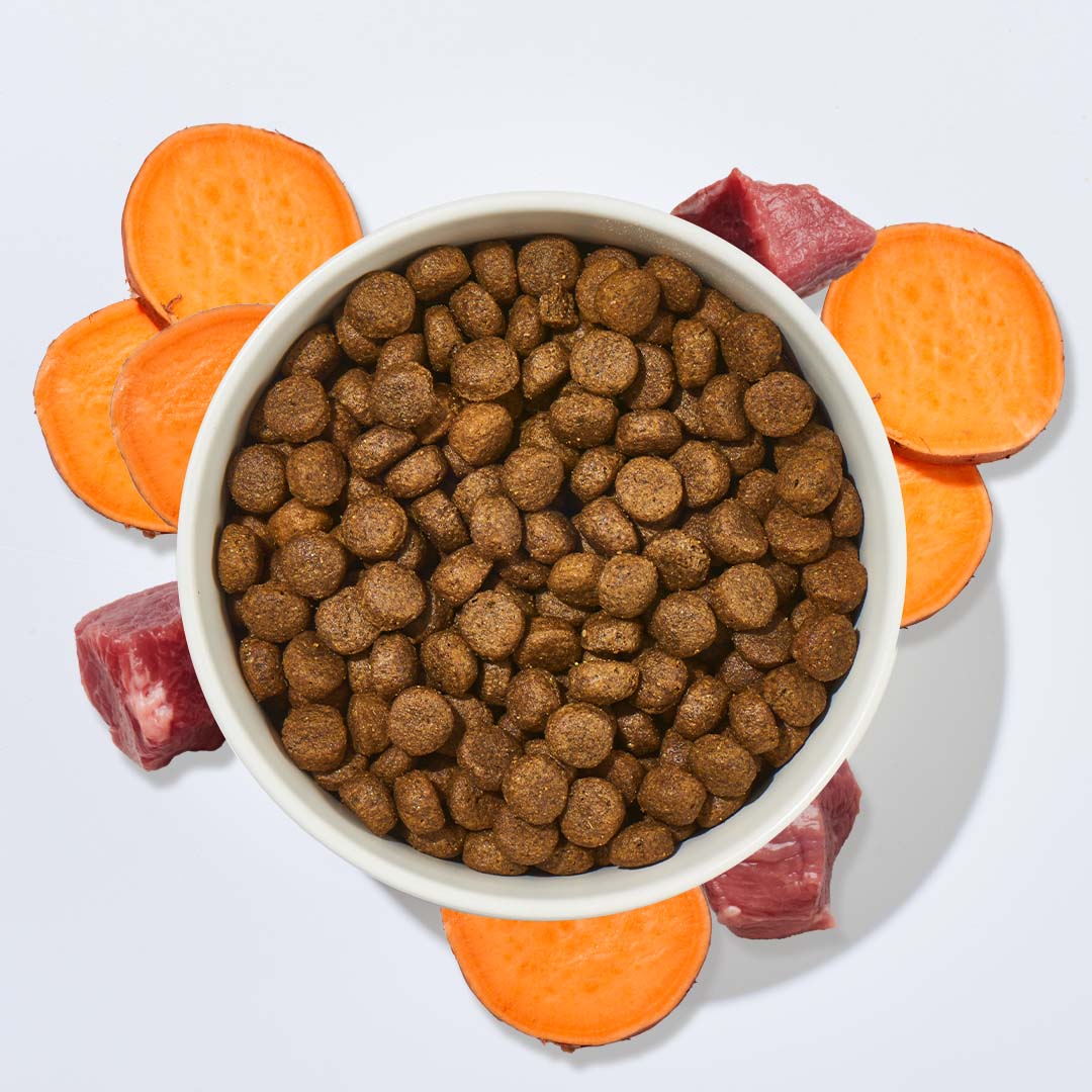 Hundefutter Pferd mit Süßkartoffel, 1 kg ohne Getreide, 70% Fleisch-Eiweiß, 30% Gemüse-Eiweiß, allergikerfreundlich.