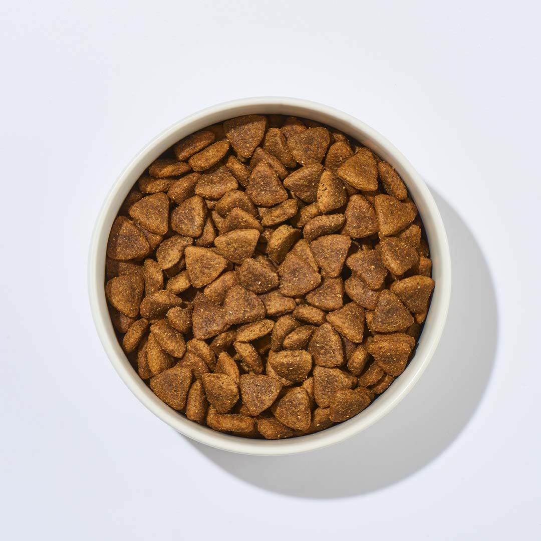 Hundefutter Ente mit Kartoffel, getreidefrei, 70% Fleisch-Eiweiß, 30% Gemüse und Frucht-Eiweiß, ohne künstliche Zusatzstoffe, 1 kg Schale