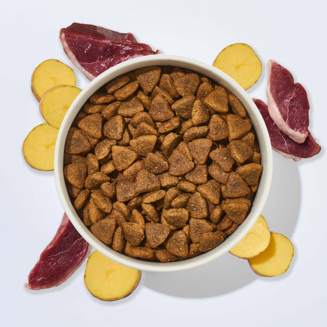 Hundefutter Ente mit Kartoffel, 1 kg, getreidefrei, hoher Fleischanteil, ohne künstliche Zusatzstoffe