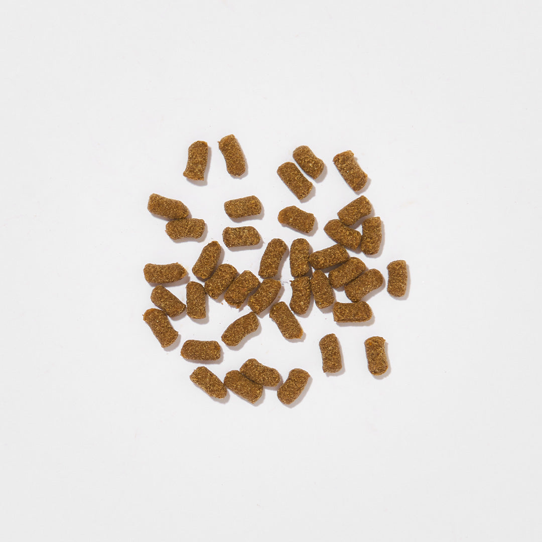 Mini-Trainies Pferd & Kartoffel Hundesnacks, getreidefrei, 300 g