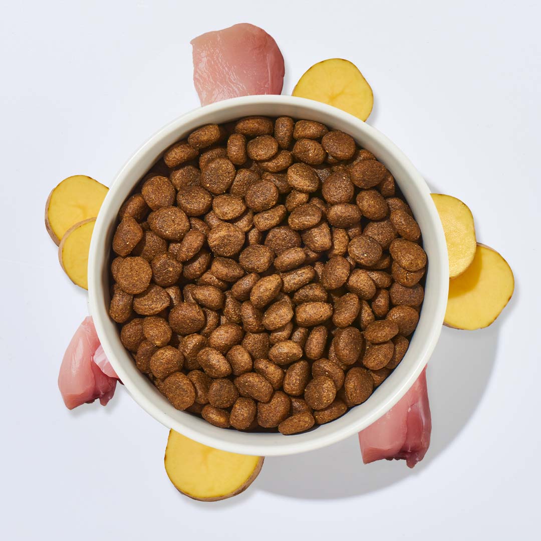 Hundetrockenfutter Kaninchen und Kartoffel in Schale mit rohem Kaninchenfleisch und Kartoffelscheiben auf weißem Hintergrund