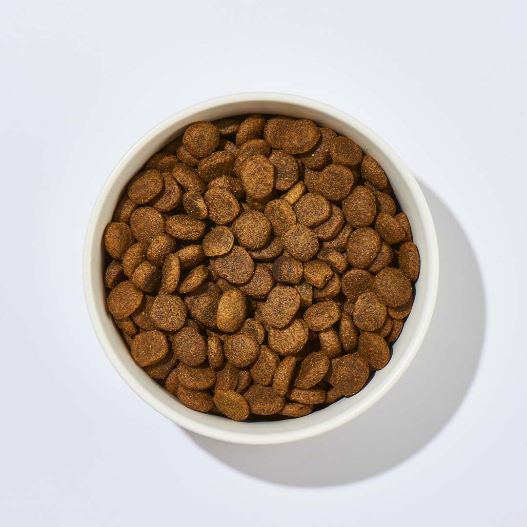 Hundefutter Rentier & Kartoffel 1 kg ohne künstliche Zusätze für gesunde Haut, Fell und Gelenke