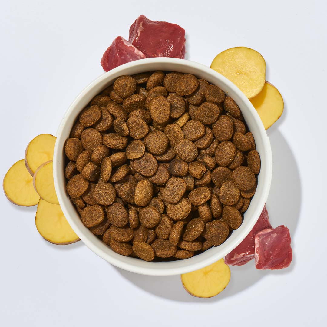 Hunde-Trockenfutter Rentier & Kartoffel 1 kg mit hochwertigem Rentierfleisch und Kartoffeln für gesunde Hunde