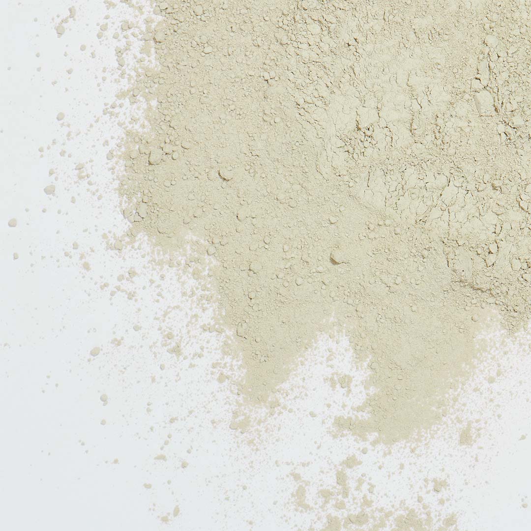 feines pulver algenkalk 500 g zur phosphorregulierung bei fleischfutter aus meeresalgen mit 2 mg kg iodgehalt