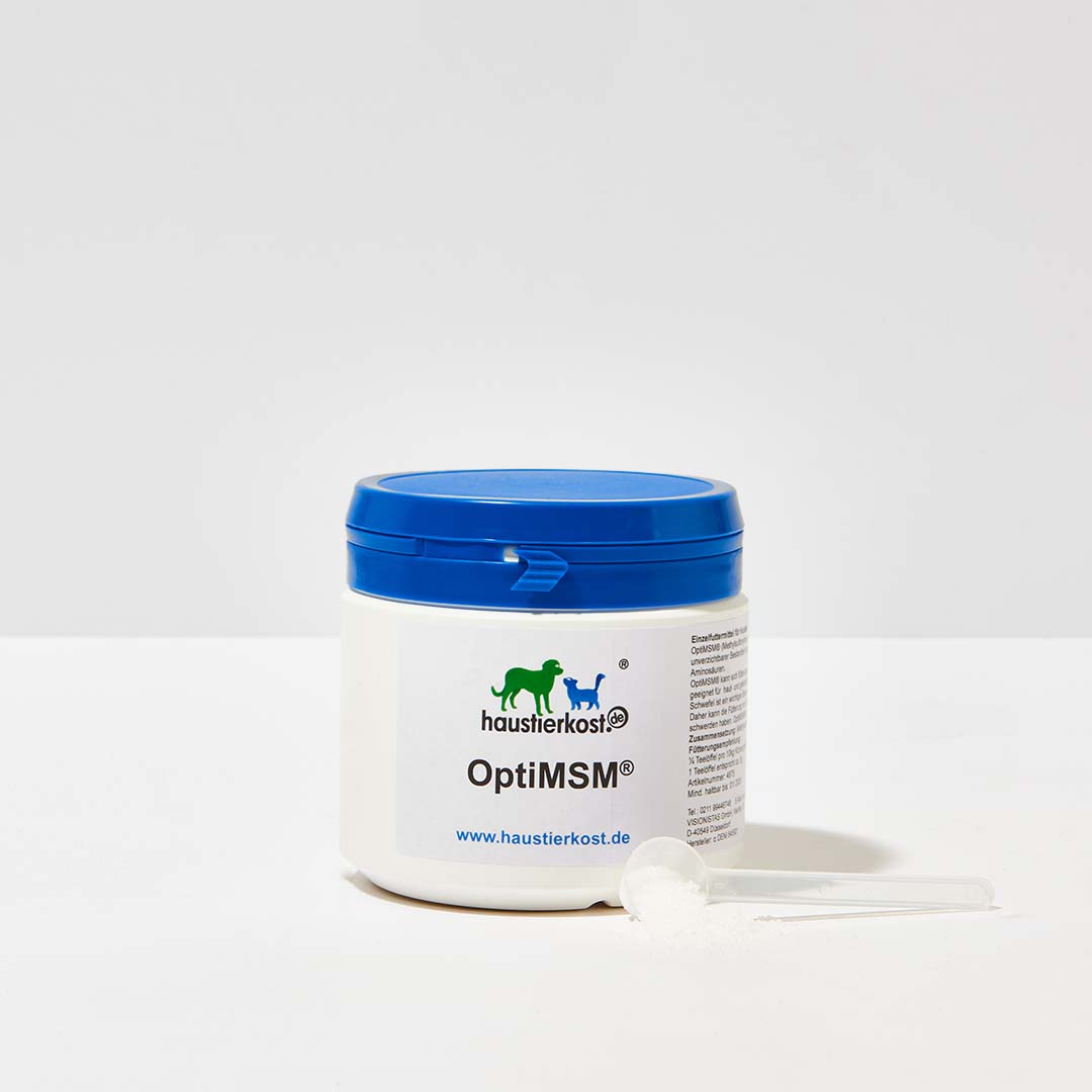 haustierkost.de MSM-Pulver für Hunde mit organischem Schwefel zur Unterstützung von Immunsystem, Haut und Gelenken, 250g Dose mit blauem Deckel und Messlöffel