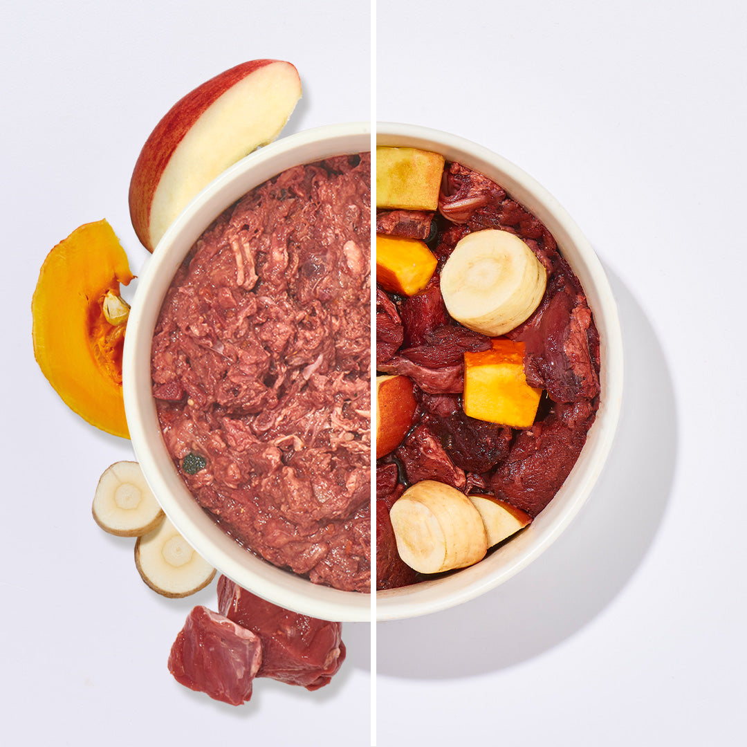 BARF Komfort PLUS Wild mit Kürbis rohes Hundefutter mit Reh- und Hirschfleisch, Kürbis, Pastinake und Apfel