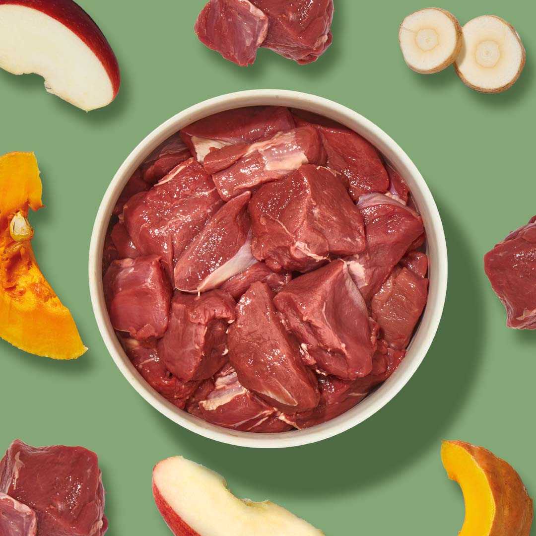 BARF Komfort PLUS Wild mit Kürbis, 500 g, rohes Fertigmenü mit Wildfleisch, Kürbis, Pastinake und Apfel.