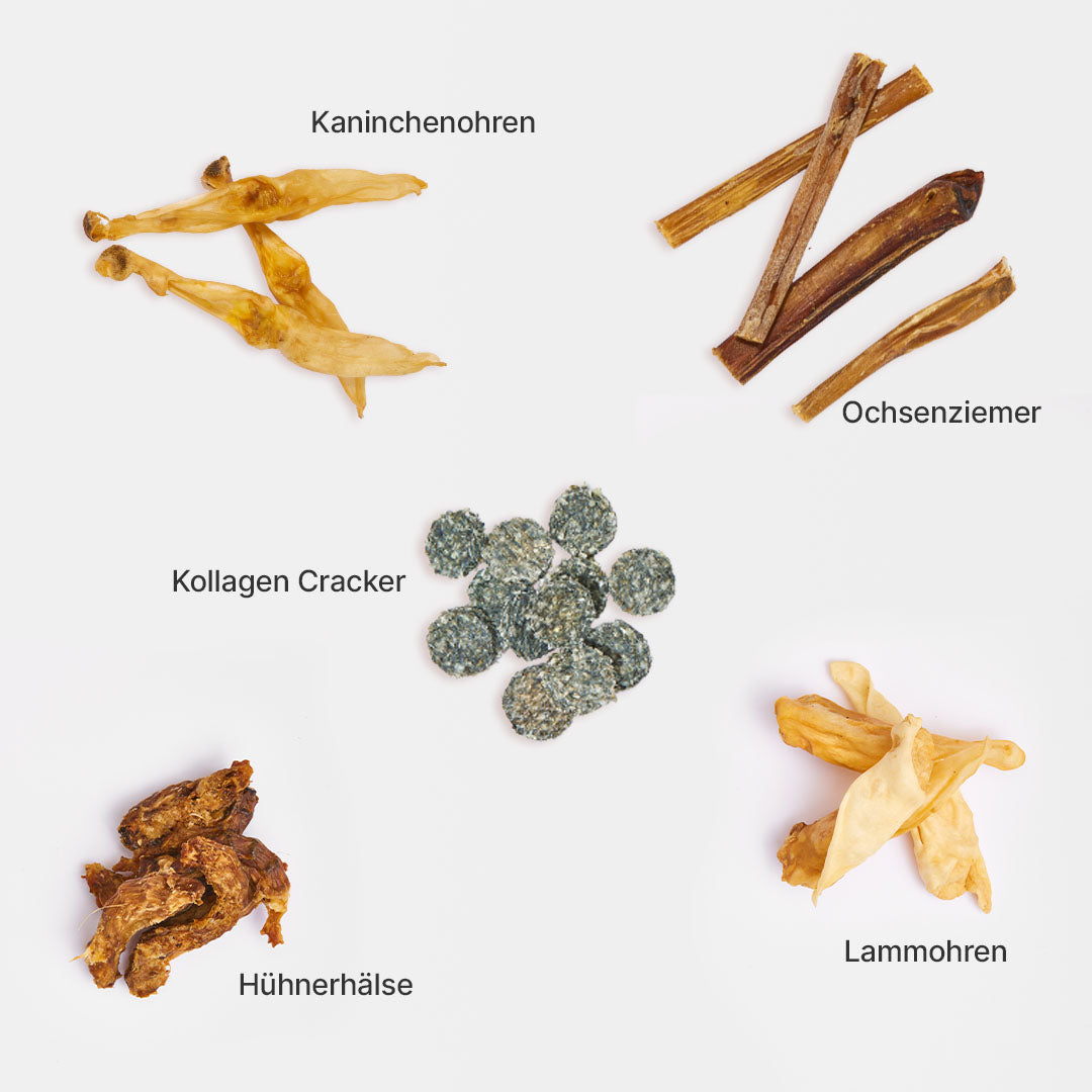 Kauartikel-Paket für kleine Hunde mit Kaninchenohren, Ochsenziemer, Kollagen Crackern, Hühnerhälsen und Lammohren auf weißem Hintergrund