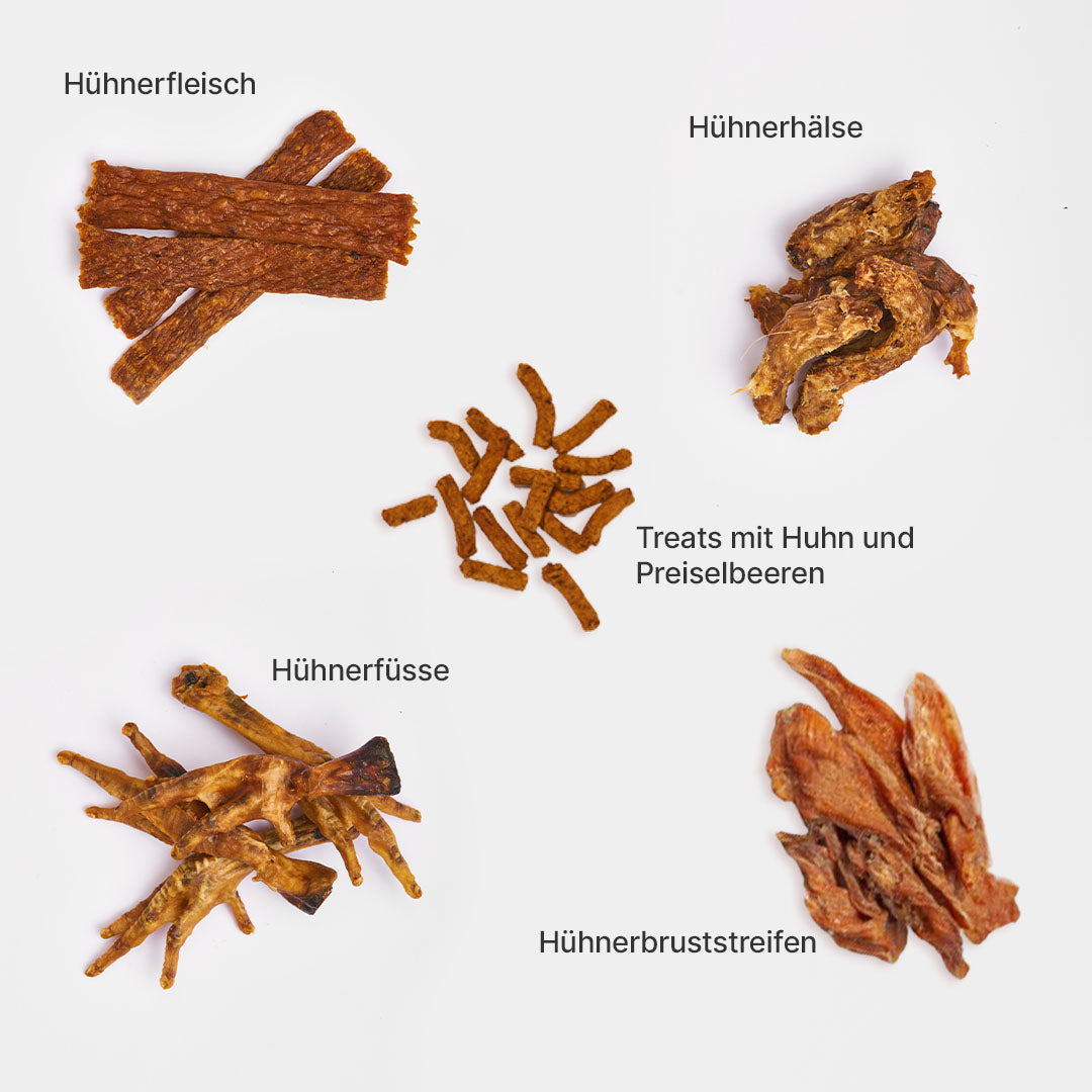 Kauartikel-Paket mit getrocknetem Hühnerfleisch, Hühnerhälse, Hühnerbruststreifen, Hühnerfüße und Treats mit Huhn und Preiselbeeren für Hunde.