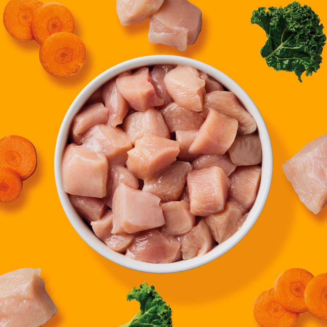 Komplettmenü Huhn mit Gemüse in Schale, umgeben von Karotten auf orangefarbenem Hintergrund.