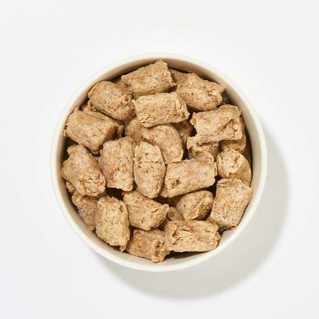 Schüssel mit Köttbullar aus Huhn, Lachs und Rinderpansen für Hunde.