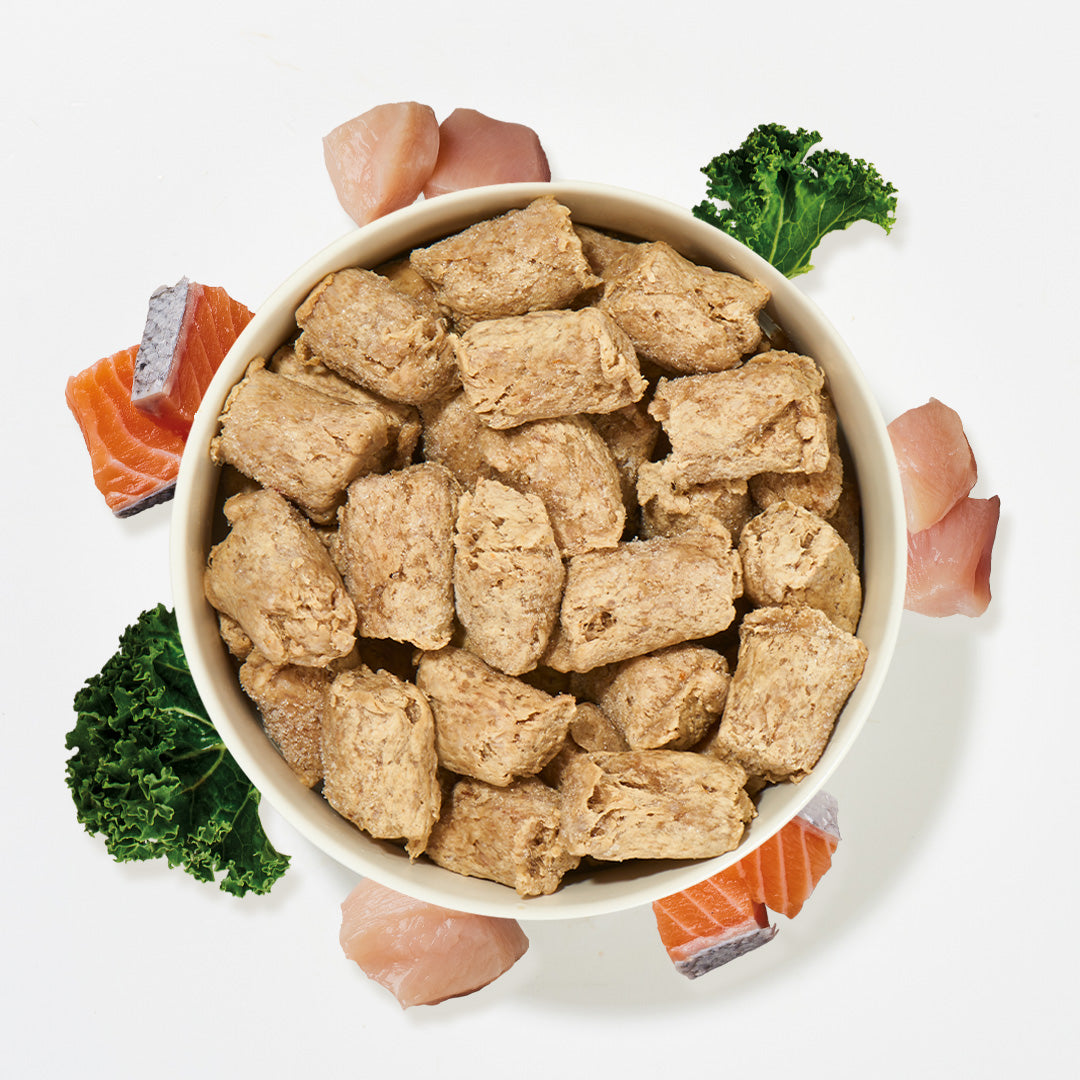 Köttbullar Huhn und Lachs mit Pansen gefrorene Hundeleckerlis in Schüssel mit frischem Lachs, Hühnchen und Gemüse auf weißem Hintergrund