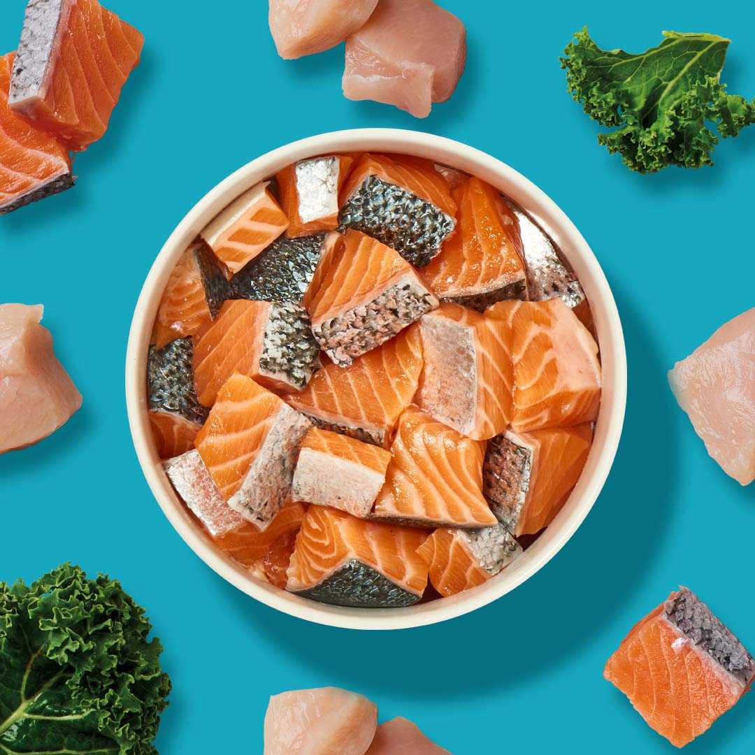 Köttbullar Huhn & Lachs mit Pansen, gefroren, einzeln portionierbar, für Hunde, mit Hühnerleber, Gemüse, Ei, Seealgen und Leinöl.