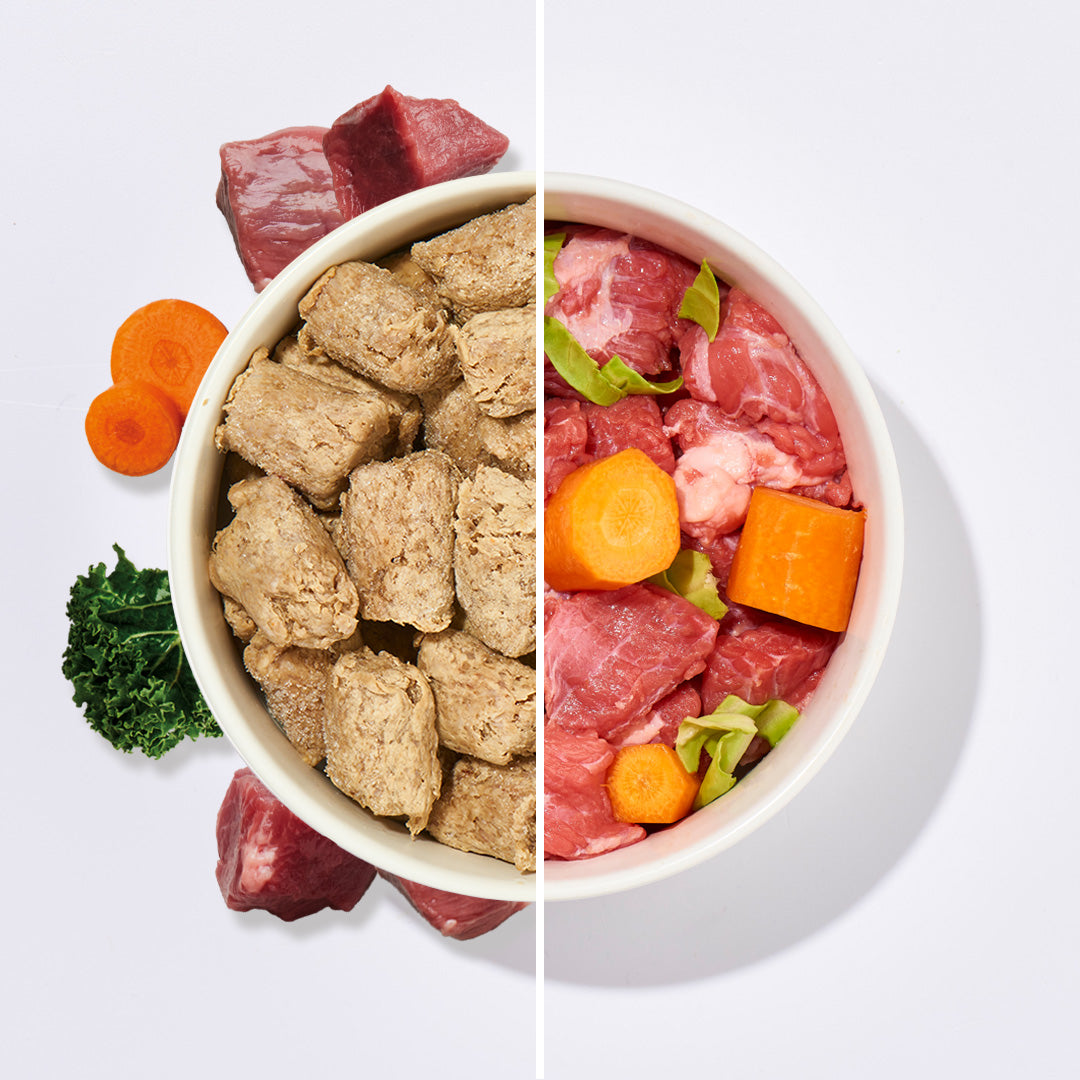 Köttbullar Rind mit Gemüse gefrorene Hundekost aus Rindershredder, Leber, Gemüse und Vitaminen in Portionen