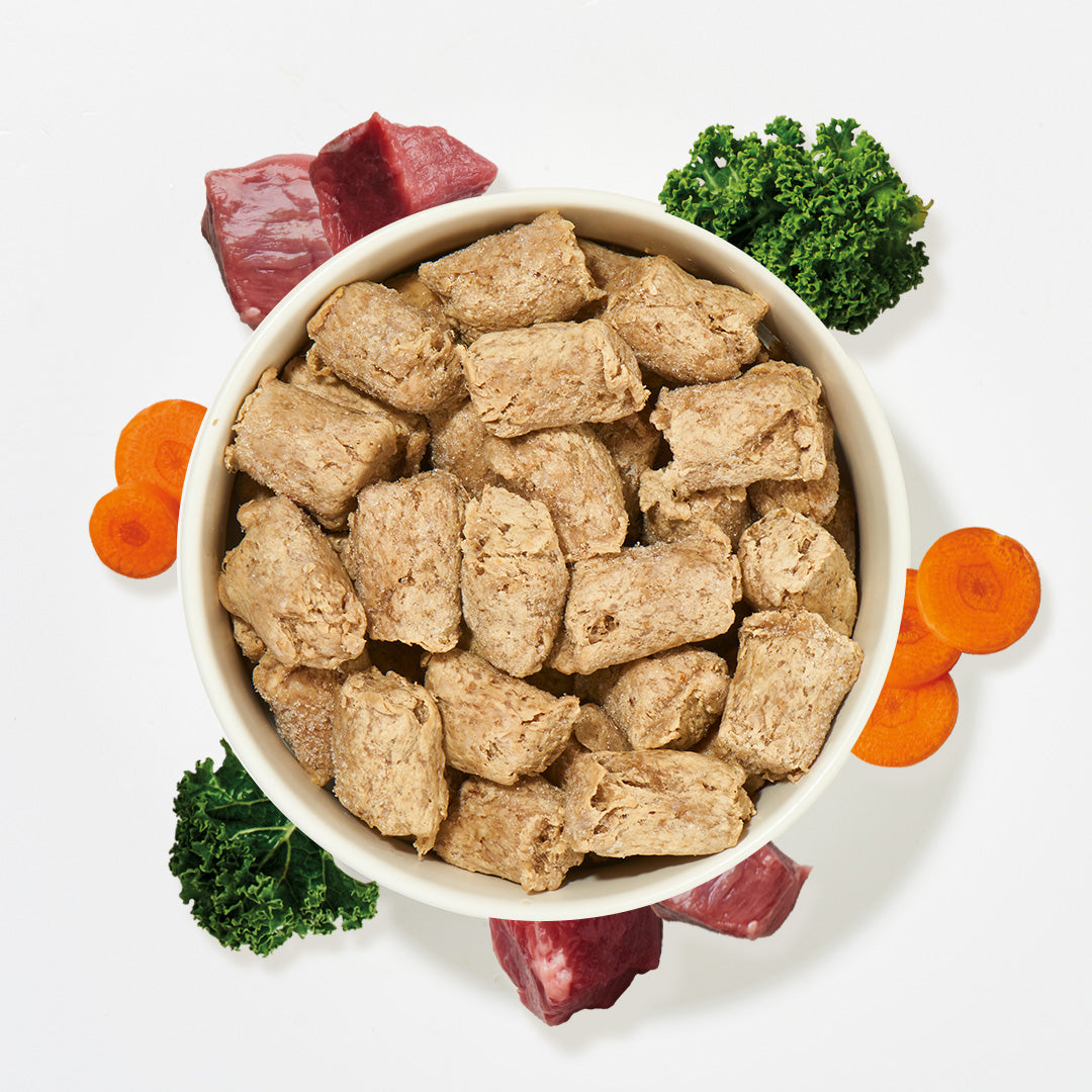Gefrorene Köttbullar aus Rind mit Gemüse in Schale, umgeben von Karottenscheiben, Grünkohl und rohem Rindfleisch