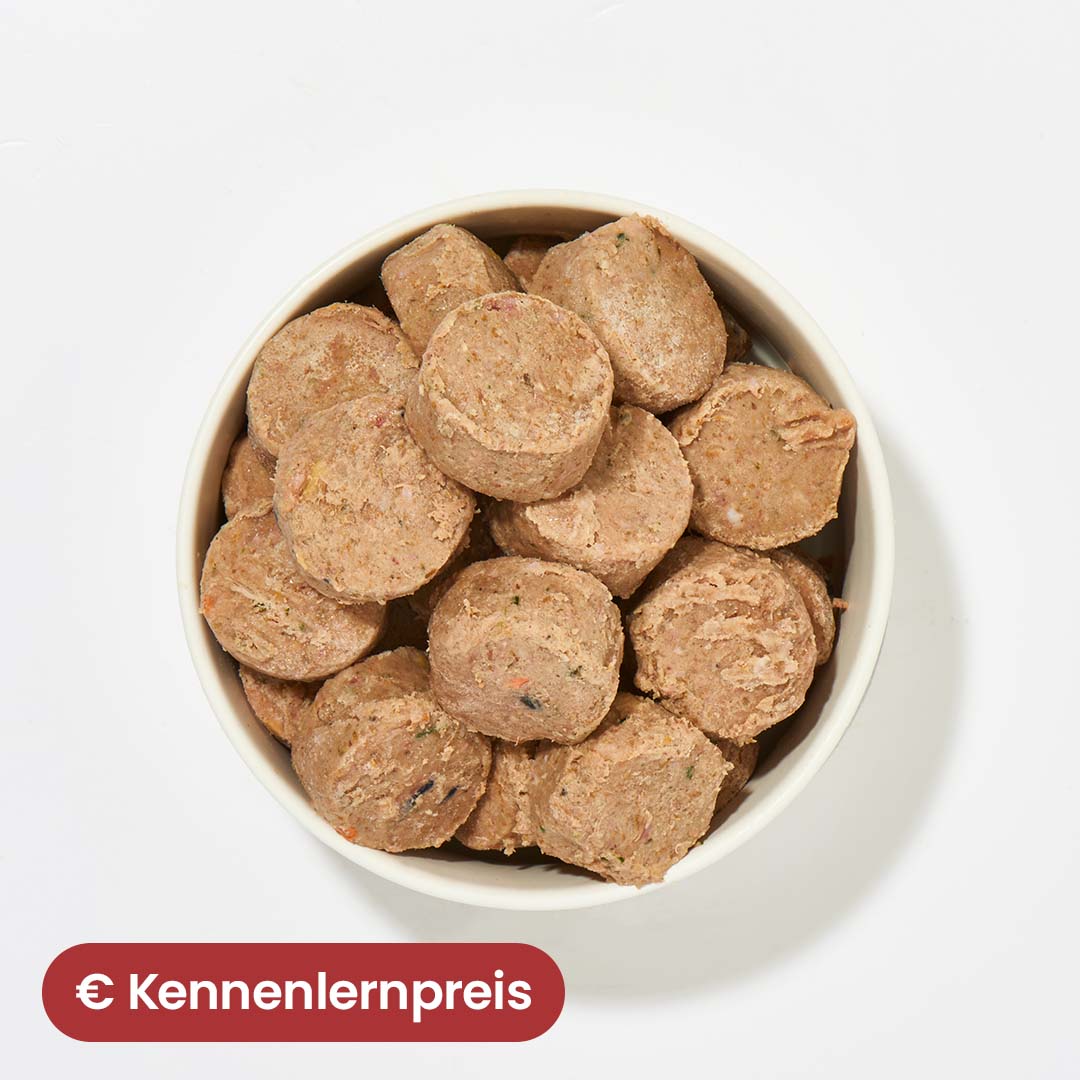 All-in-One Nuggets Huhn in Schüssel – Komplettmenü für Hunde, monoprotein, ohne Zuckerzusatz.