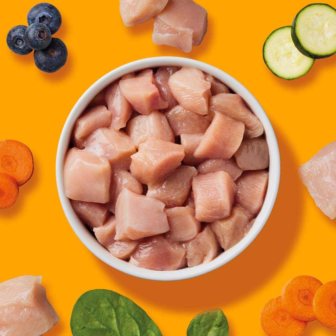 All-in-One Hühner-Nuggets mit Gemüse für Hunde, Komplettmenü auf Orangem Hintergrund.