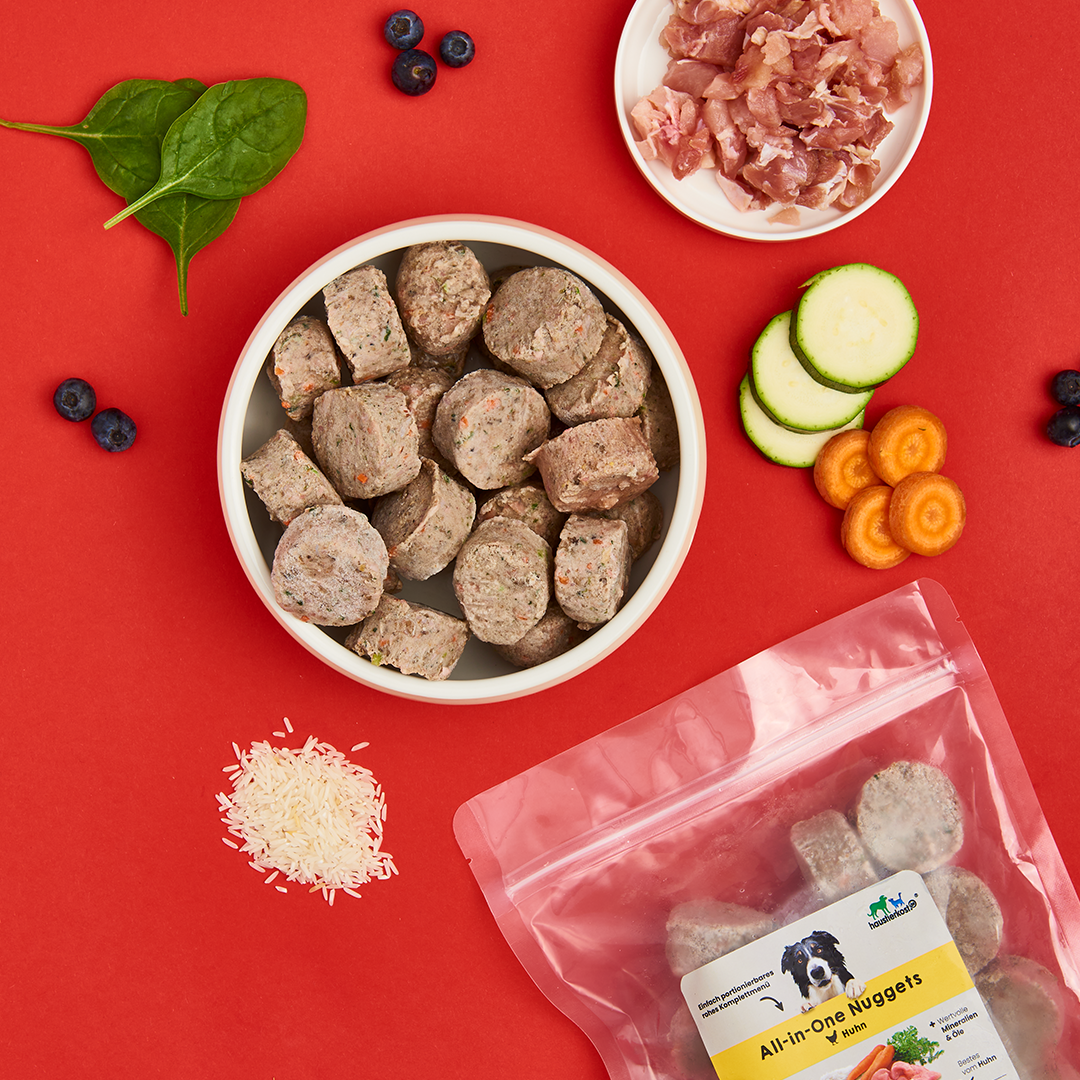All-in-One Huhn-Nuggets für Hunde, verpackt mit Beilagen wie Gemüse und Reis, ideal für ausgewogene Ernährung.