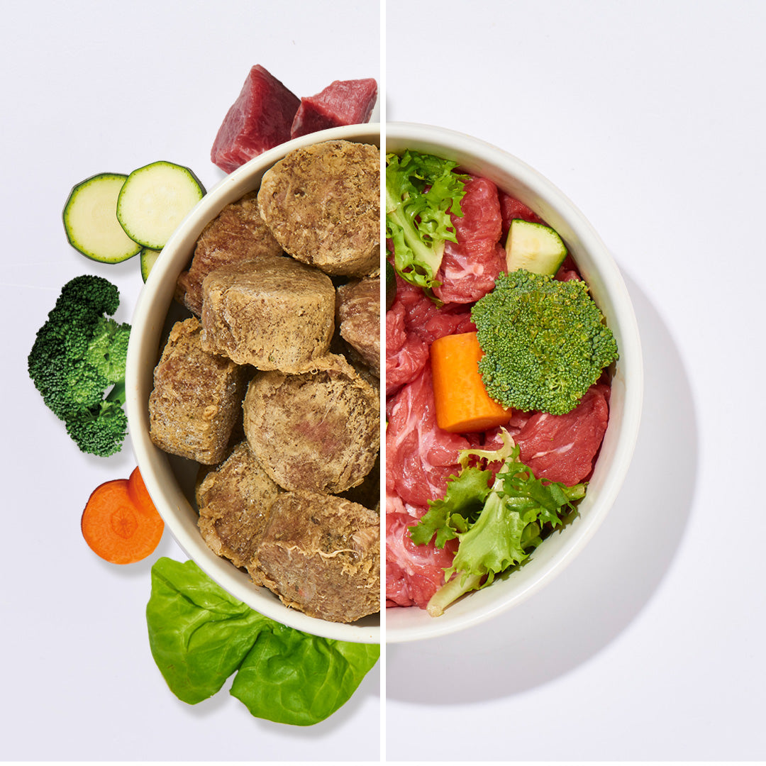 All-in-One Nuggets Pferd Hundemenü mit Fleisch und Gemüse, getreidefrei und glutenfrei, ausgewogene Rohfütterung