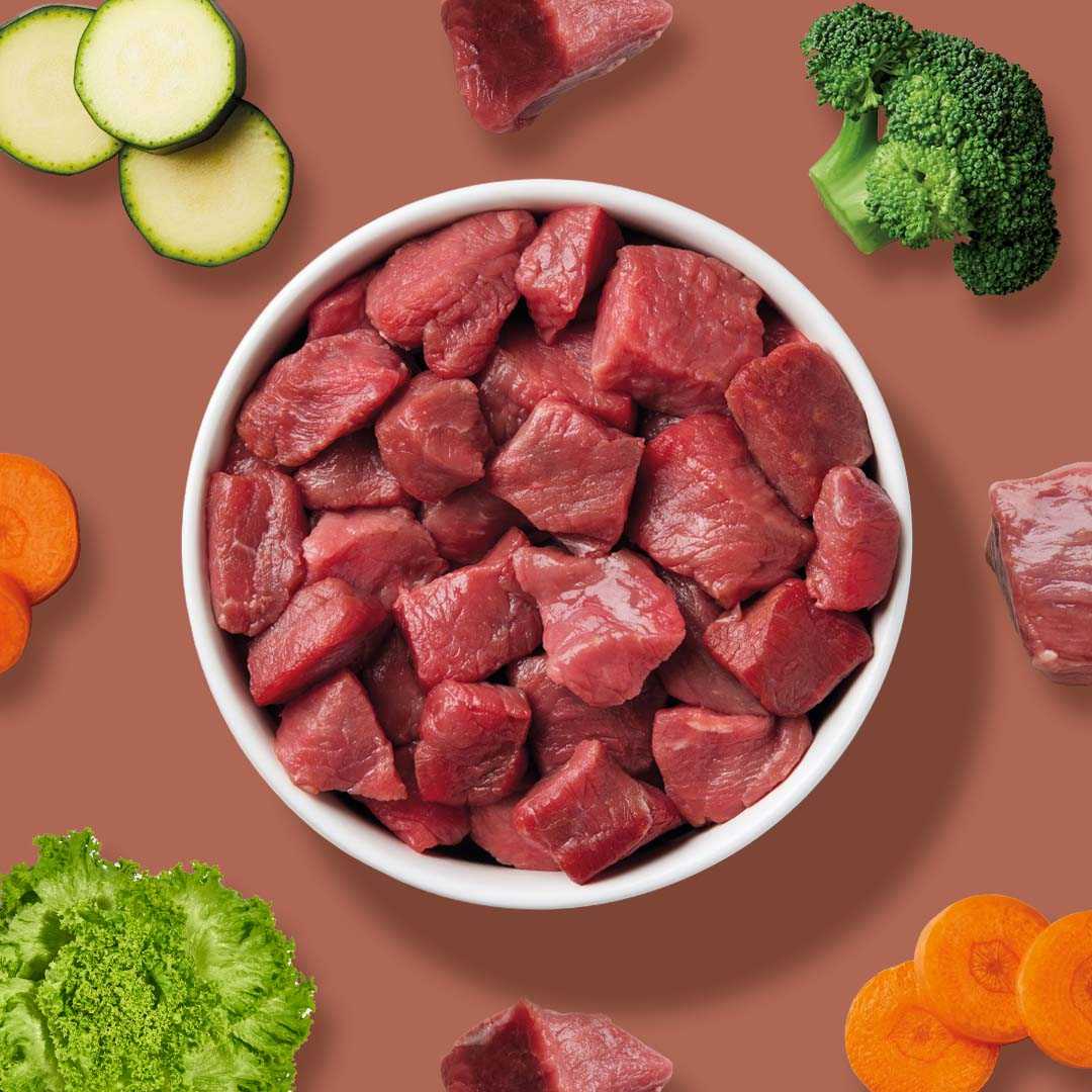 All-in-One Nuggets Pferd, Komplettmenü, BARF Einsteiger, Monoprotein, getreidefrei, glutenfrei, ohne Zuckerzusatz, hochwertiges Hundefutter.