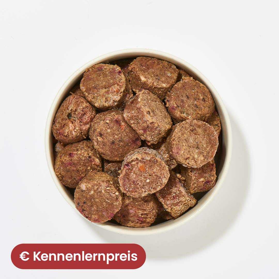 All-in-One Nuggets Rind for dogs in a bowl, showcasing nutritious, easy-to-serve complete meals.