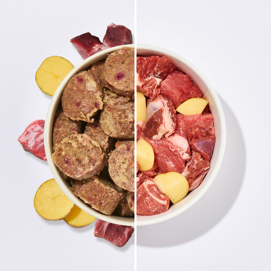 All-in-One Nuggets Rind & Lamm für Katzen, ausgewogenes Komplettmenü aus rohem Rind- und Lammfleisch mit Gemüse, getreidefrei und ohne Zuckerzusatz, ideal für BARF-Einsteiger.