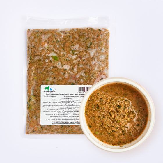 Frische Gemüse-Ernte mit Erdbeeren, gefrorene BARF-Mischung mit Karotten, Erbsen, Spinat und Erdbeeren, ideale Ergänzung für Haustiere.