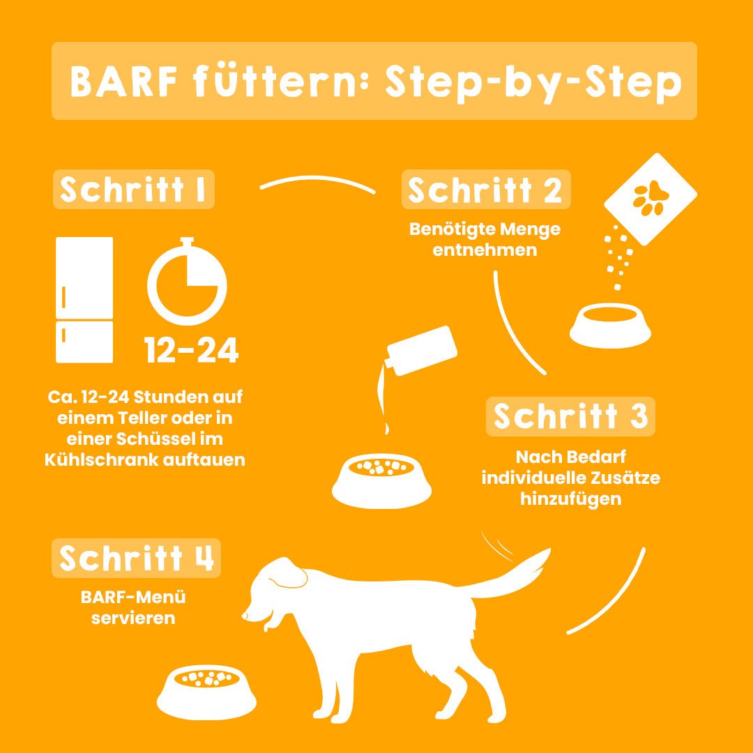 BARF füttern Anleitung für Hunde in vier Schritten.