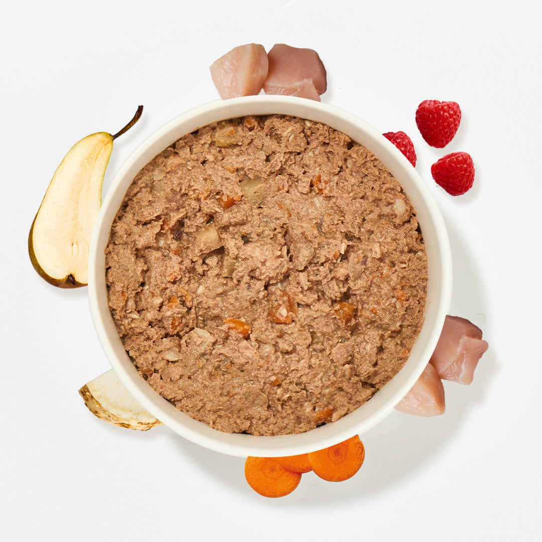 Hundefutter Sous Vide Menü Huhn in weißer Schale mit frischen Zutaten wie Huhn, Birne, Karotte und Himbeeren