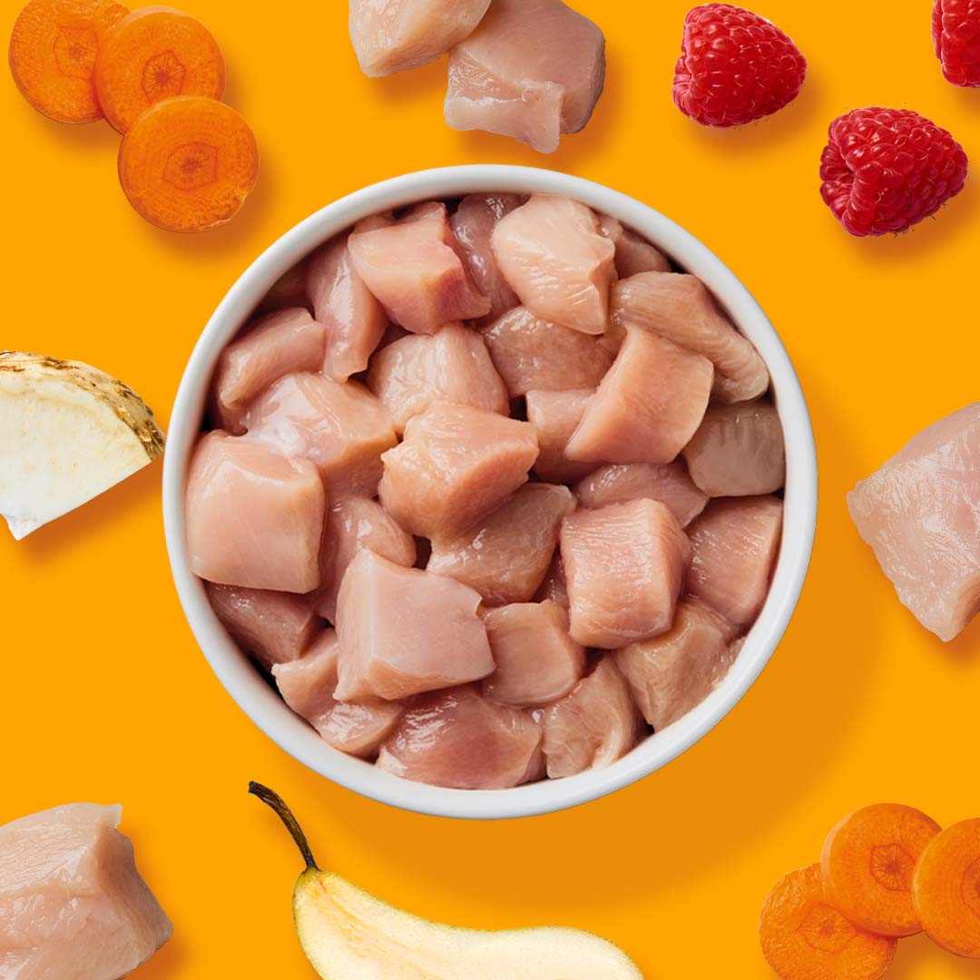 Sous Vide Huhn Menü für Hunde in Schale mit Karotten, Himbeeren und Pastinaken auf orangefarbenem Hintergrund.