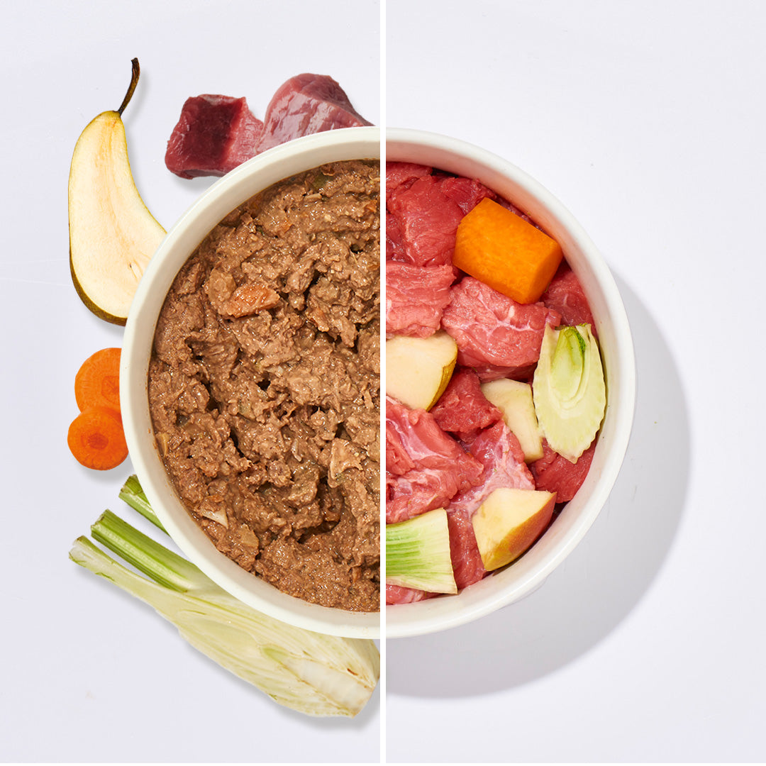 Sous Vide Menü Rind für Hunde, halb gegartes und halb rohes Fleisch mit Gemüse, schonend vakuumgegart für Nährstoff- und Vitaminversorgung.