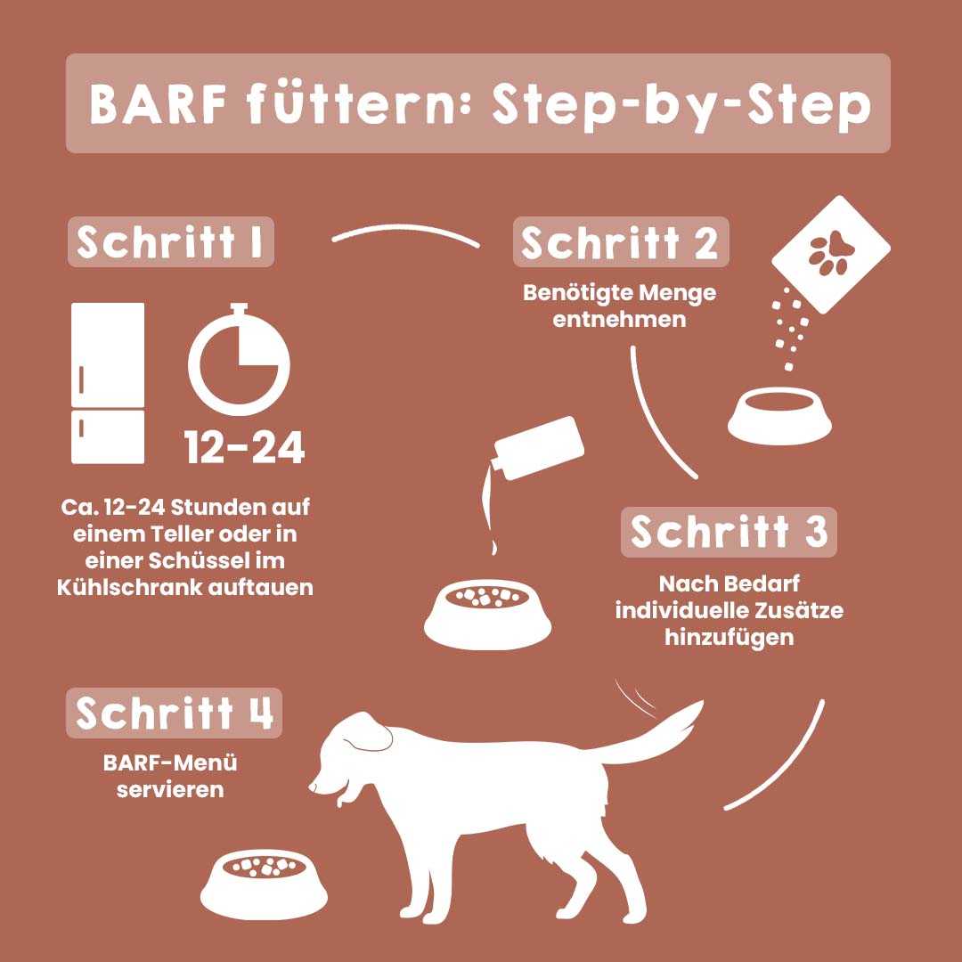BARF Fütterungsanleitung für Hunde in vier Schritten.