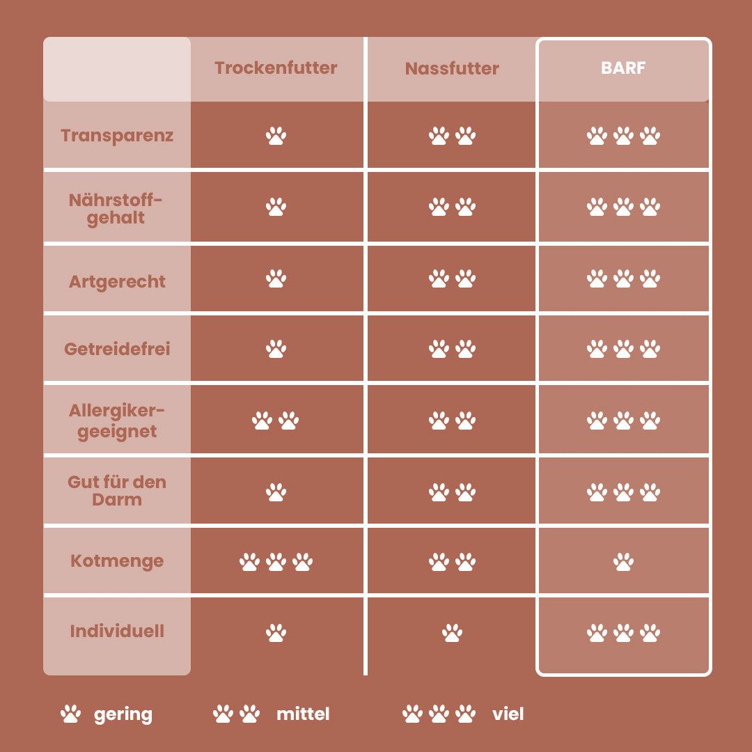 Vergleichstabelle für Hundefutterarten, BARF zeigt höchste Bewertung in allen Kategorien.