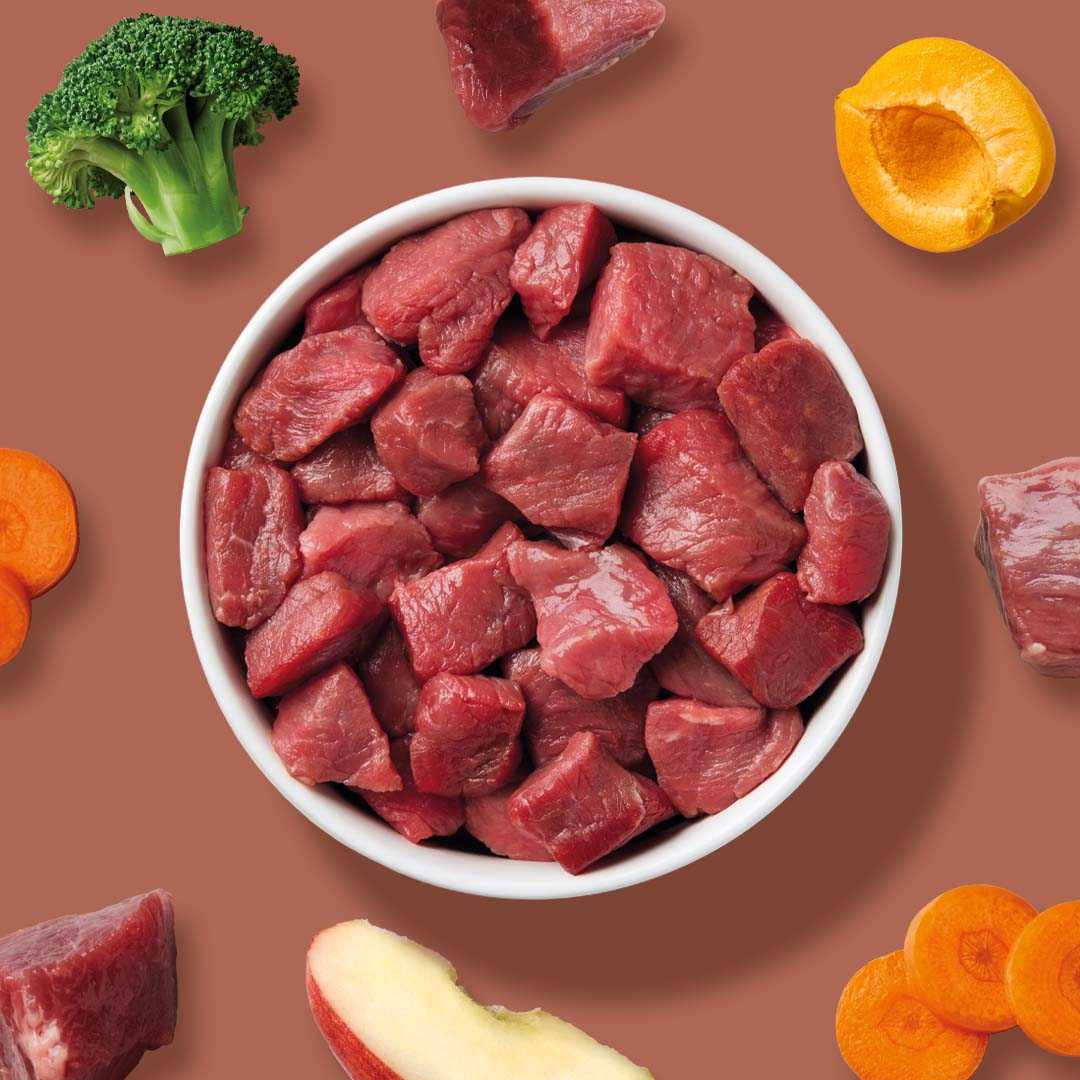 Sous-Vide-Menu Pferdefleisch für Hunde mit Gemüse, nährstoffreich und leicht verdaulich.