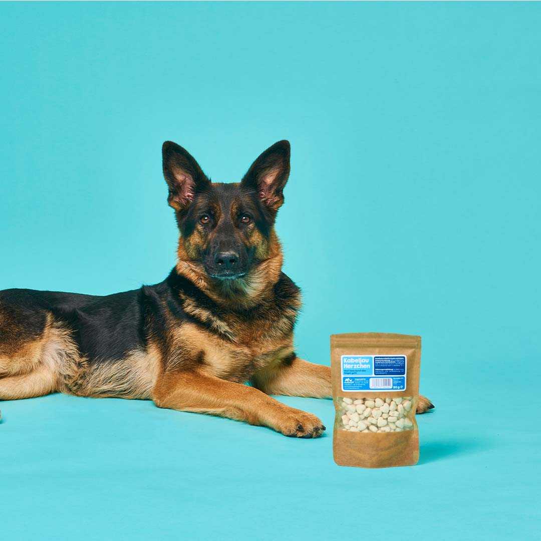 Kabeljau Herzchen Snacks, 80 g Packung, ideal für Hunde-Training, liegend neben deutschem Schäferhund.