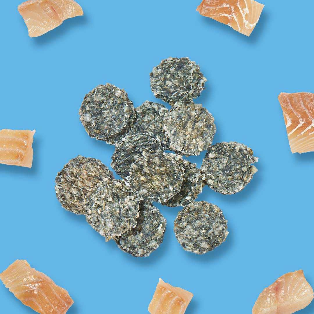 Kollagen Cracker auf blauem Hintergrund, reich an Proteinen und frei von Zusatzstoffen.