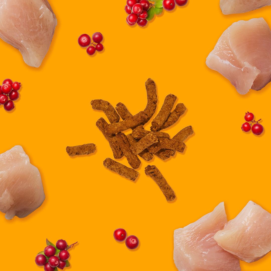 Leckerlis mit Huhn und Preiselbeeren auf orangem Hintergrund, umgeben von rohem Hühnchen und Preiselbeeren.