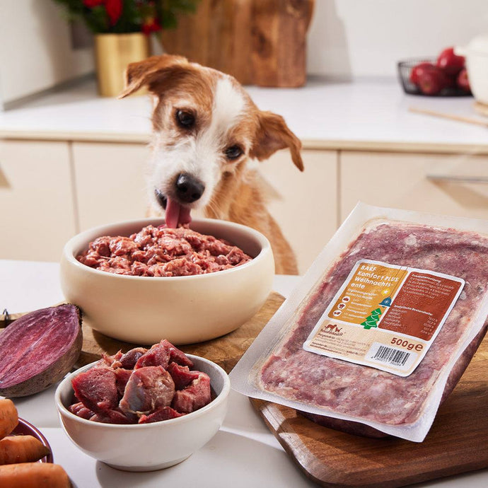 BARF Komfort PLUS Weihnachtsente 500 g Hundemenü mit Ente, Preiselbeeren und Roter Bete.